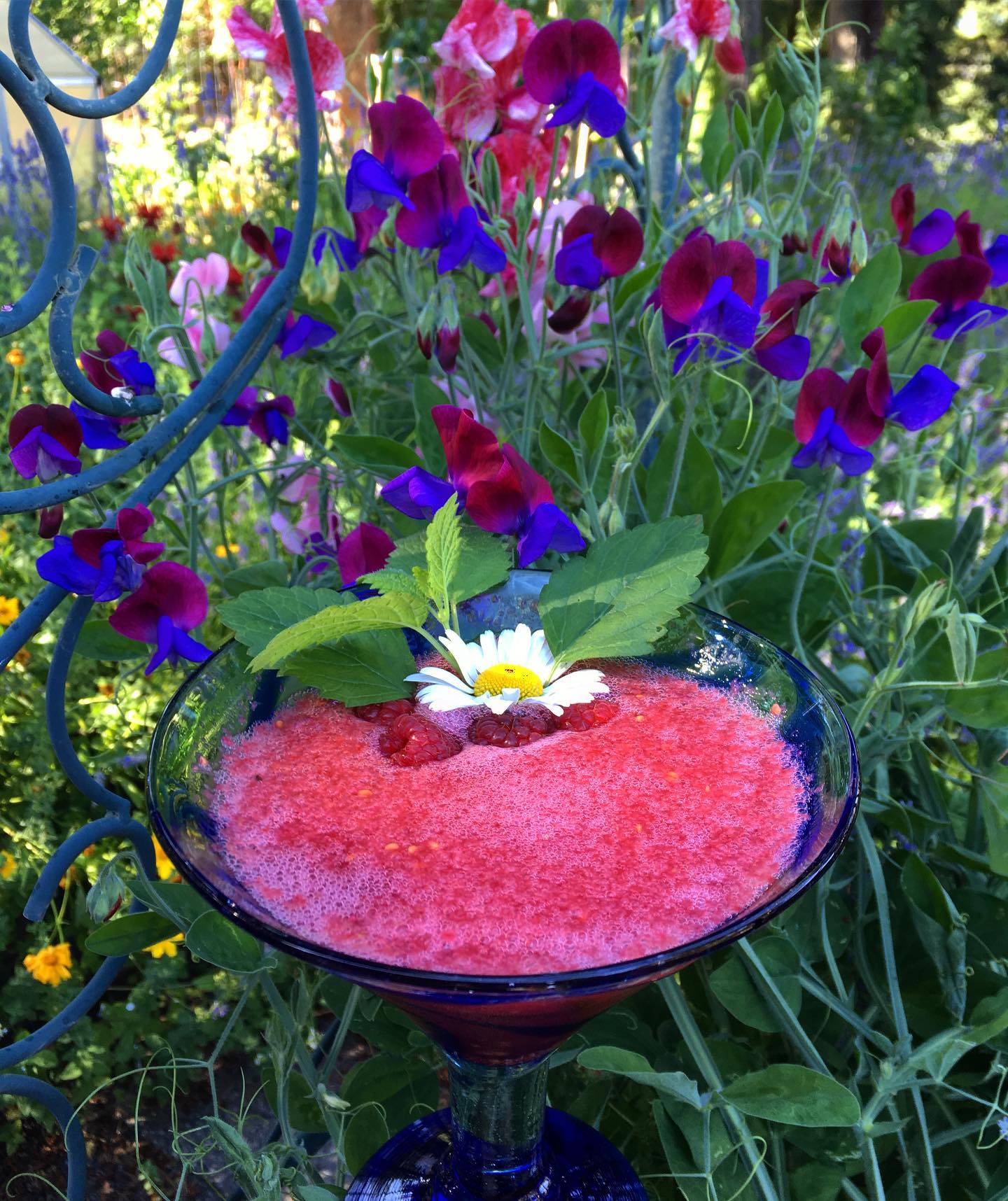 Honey Simple Syrups - Bee Inspired