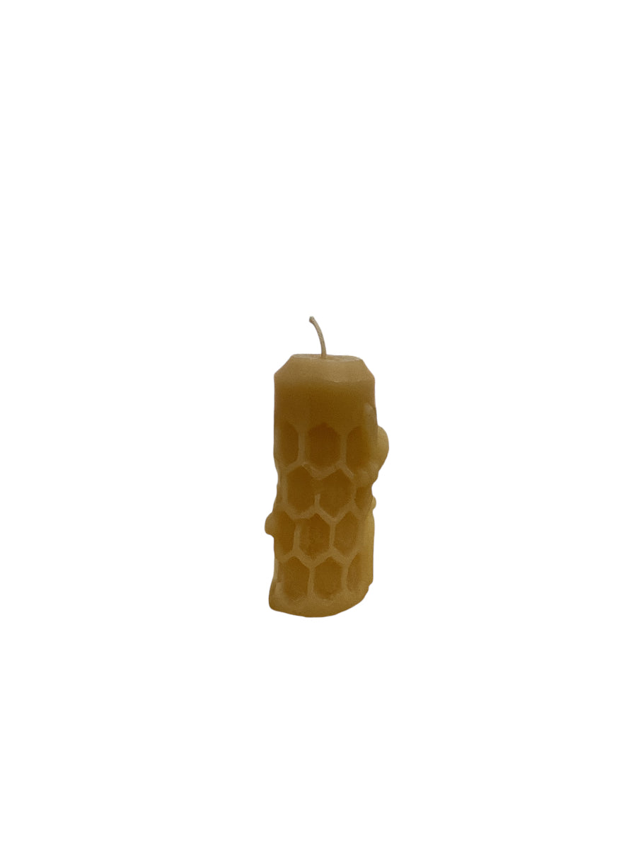 Candle - Pine Cone