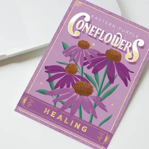 Garden - Seed pack - Various Assortments