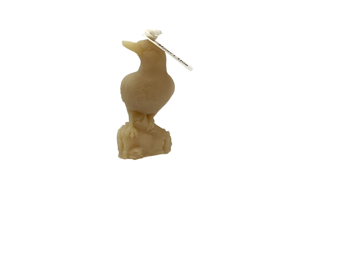 Candle - Animals