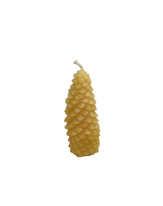 Candle - Pine Cone