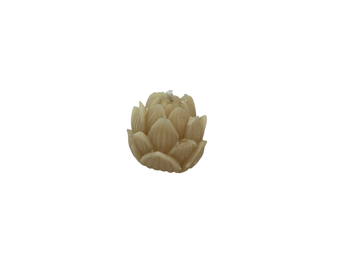 Candle - Belief