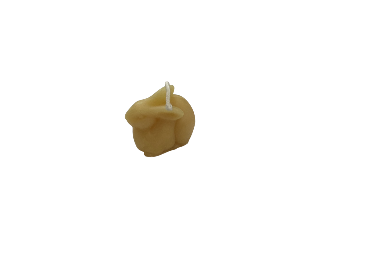 Candle - Animals