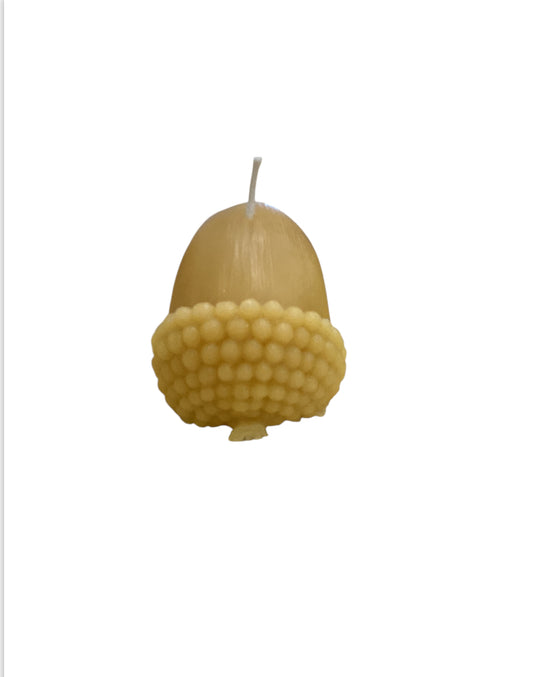 Candle - Acorn