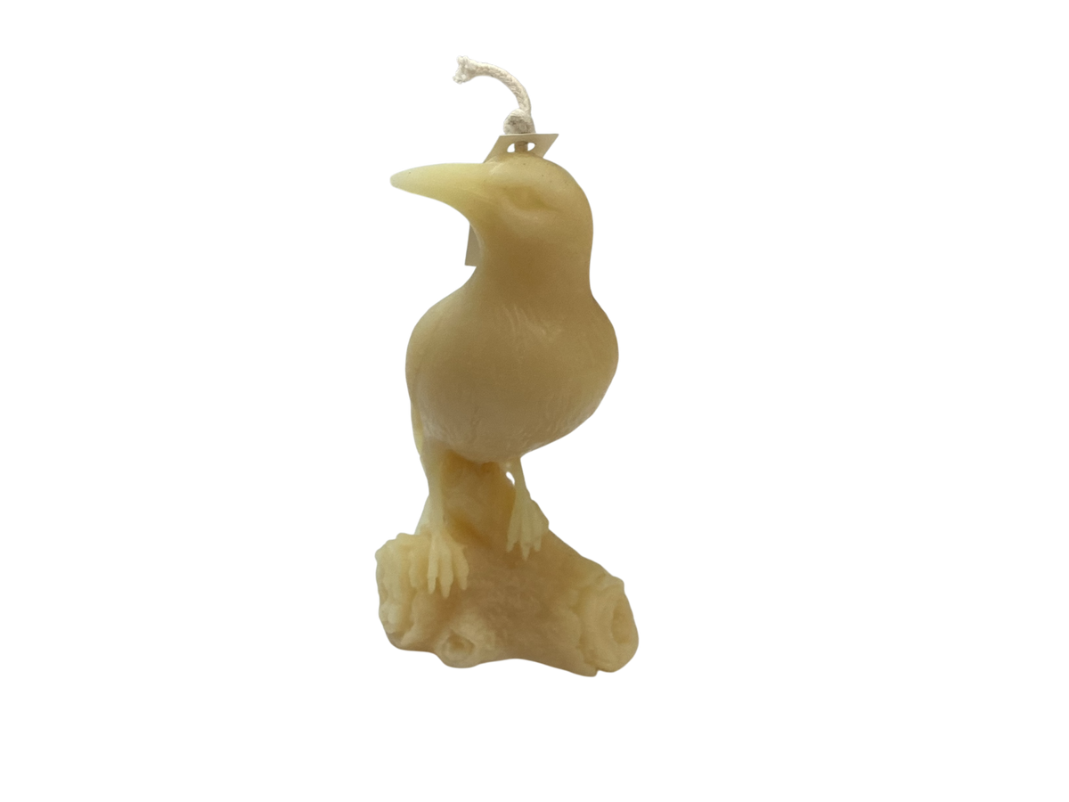 Candle - Animals