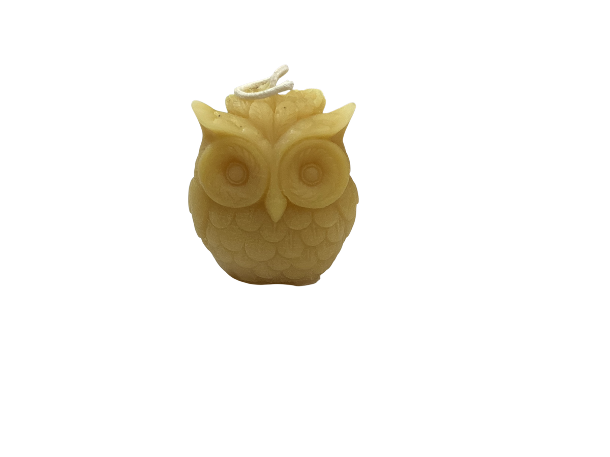 Candle - Animals