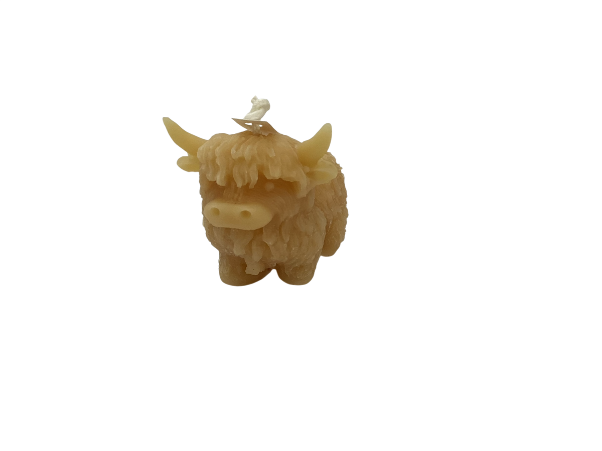 Candle - Animals